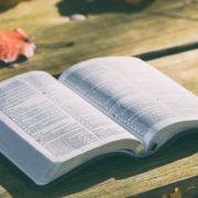 Was Gott hasst - Zusammenstellung prägnanter Bibelstellen zur Gegenüberstellung der Irrehre Felix Beuses