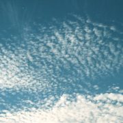 Gekündigt! Endlich frei! - Dringende Botschaft an alle, die im narzisstischen Missbrauch stehen und davon krank geworden sind.