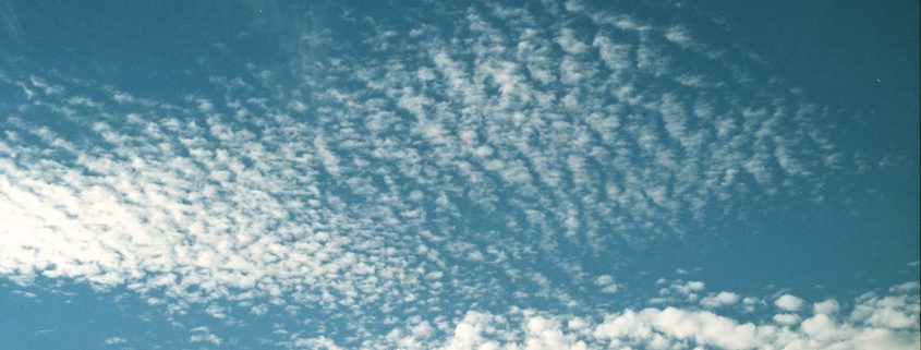 Gekündigt! Endlich frei! - Dringende Botschaft an alle, die im narzisstischen Missbrauch stehen und davon krank geworden sind.