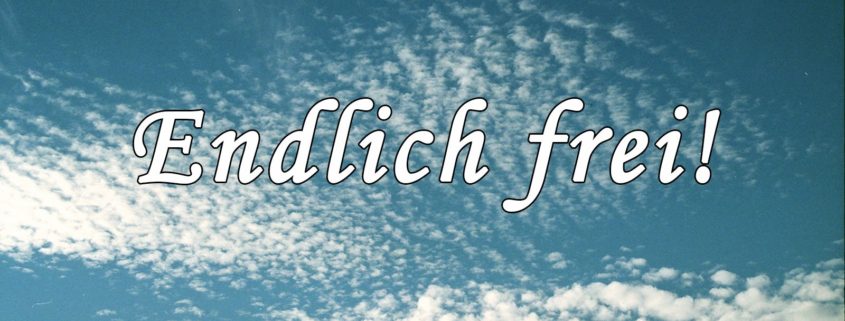 Gekündigt! Endlich frei! - Dringende Botschaft an alle, die im narzisstischen Missbrauch stehen und davon krank geworden sind.